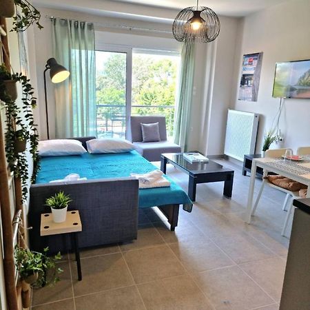 Palaia Premium Flat Lägenhet Volos Exteriör bild