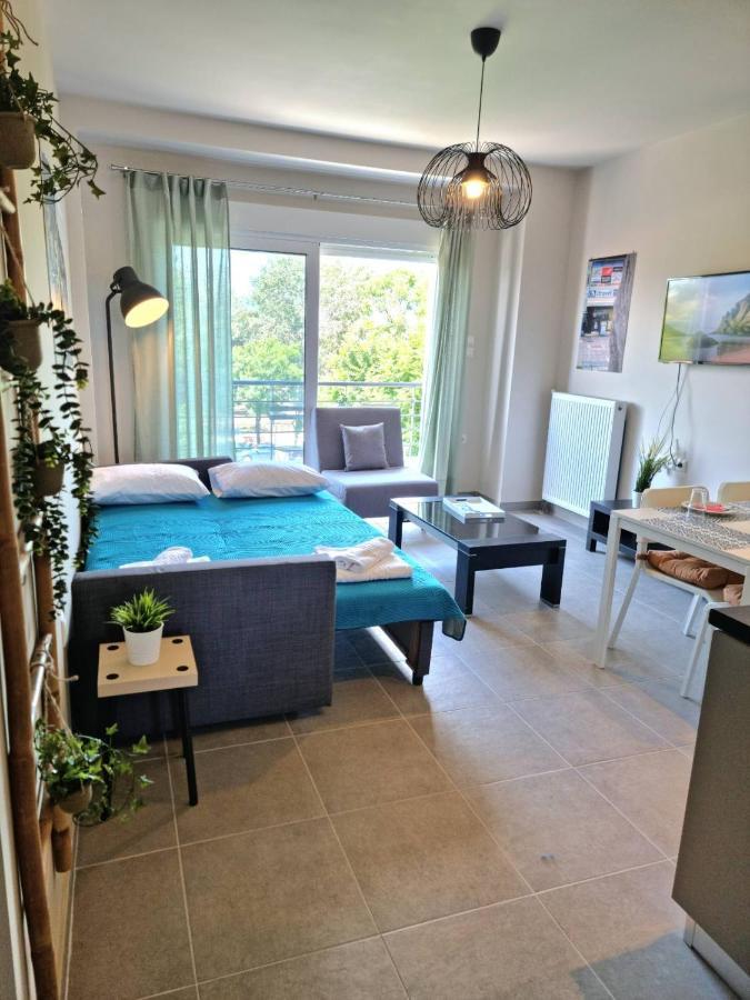 Palaia Premium Flat Lägenhet Volos Exteriör bild